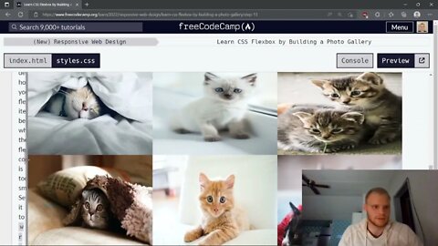 FreeCodeCamp Build a Photo Gallery