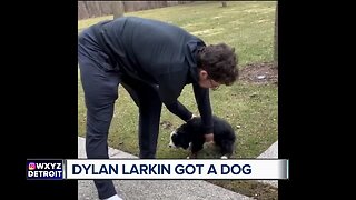 Dylan Larkin has a new trainer: a dog named Ellie