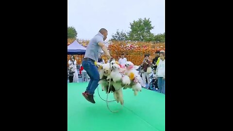 "Pawsome Fun! Man and Dogs Jump for Joy!"