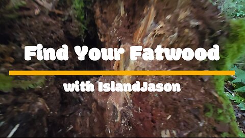 Find Your Fatwood with IslandJason