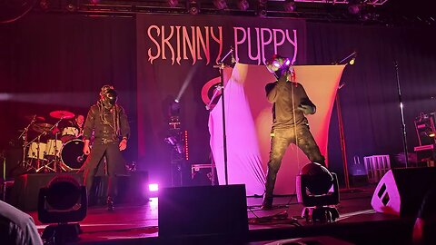 Skinny Puppy in Houston song Dig It