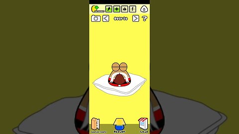 acordei #pou