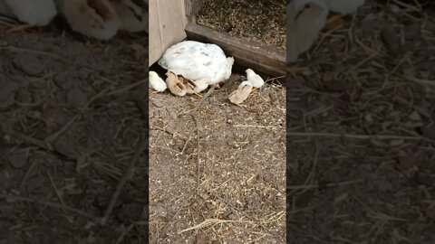 Mom watching her baby's