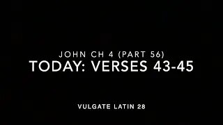 John Ch 4 Pt 56 Verses 43–45 (Vulgate 28)