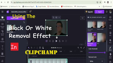 Using The Black Or White Removal Effect In Clipchamp