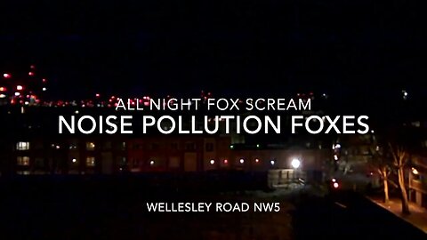 Noise Pollution : Fox Scream : At Night : Jan 23 : Wellesley Rd NW5