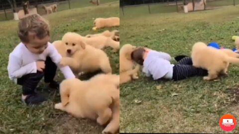 Cute baby playing with golden baby supper cute