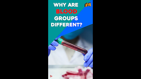 Why Are Blood Groups Different *