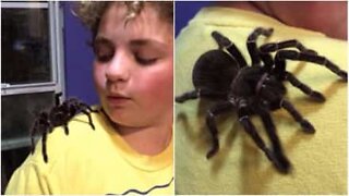 This kid has the scariest pet ever!