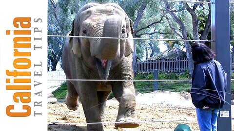 Santa Barbara Zoo Travel Guide - Things to Do in Santa Barbara | California Travel Tips