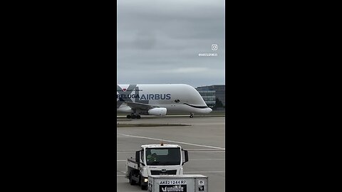 Beluga Landing at London Heathrow #london #heathrow #beluga #aviation