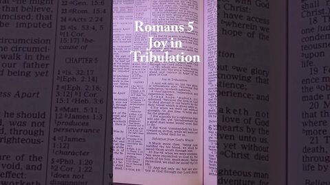 Can You Have Joy in Tribulation? Romans 5 #kjv #shorts #wordofgod #godsword #joy #bibleverse #bible