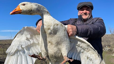 Life in a Remote Village of Azerbaijan! Cooking a Delicious Dish From a Beautiful Goose!