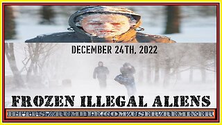 FROZEN ILLEGAL ALIENS