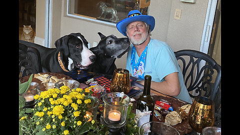 Funny Great Danes Try To Catch Birthday Gift Box Butterflies