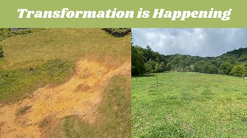 Healing Barren Pasture Land