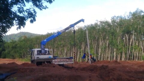 installation of electric poles on a new thailand durian farm