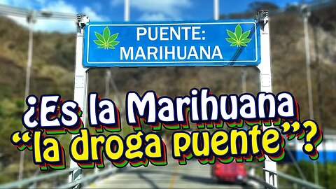 Es María La Droja Puente 🤔 - Opinión.