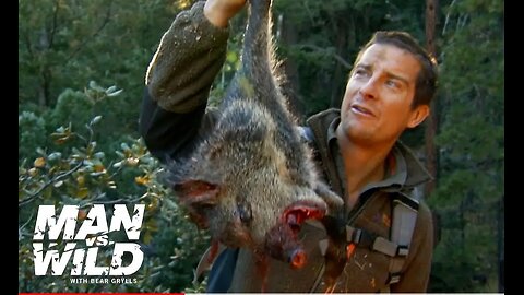 Bear Grylls' Jaw-Dropping Hunt for a Wild Pig | Man Vs. Wild |