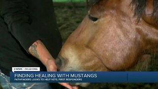 Finding Healing With Mustangs