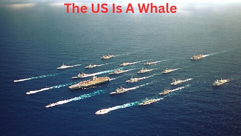 The US is a Whale