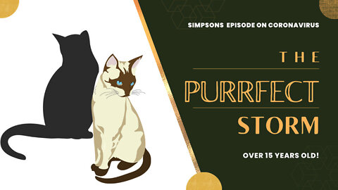 A China Flu Episode from 2009 | The PURRFECT Storm