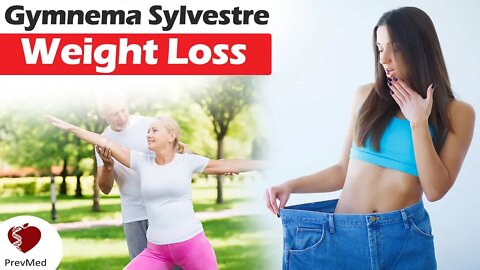 Gymnema sylvestre: Sugar Destroyer & Sweetness Blocker? (Part 2)