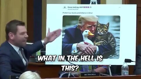 Chinese Spy-Banger, Eric Swalwell Has A Meltdown Over A Cat Meme That Told The Truth