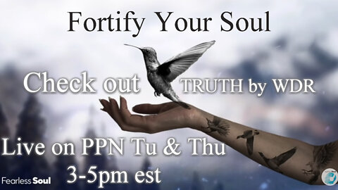 Fortify Your Soul - Episode 249 of TRUTH by WDR Preview