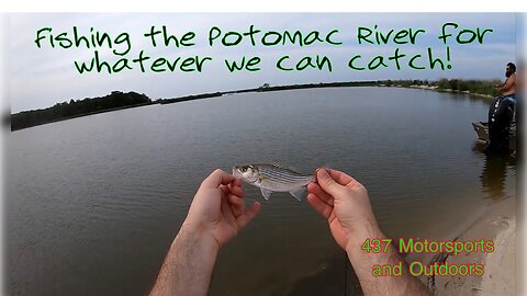 Fishing the Potomac River to see what we can catch!