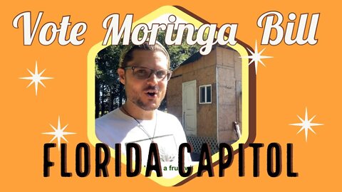 Vote Yes! For Moringa Bill - The New Official Florida State Fruit as Most Nutritious Cash Crop