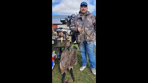 Sunday multi species beat down! Ringnecks, Gadwall, Widgeon, Mallards, Geese, and Doves! l