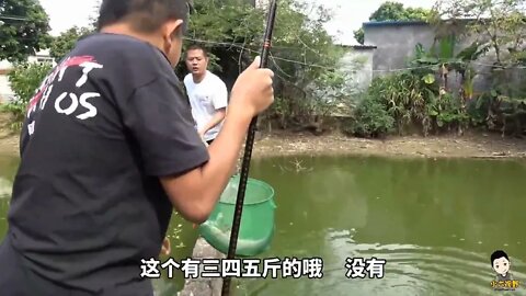 Village head fishing experience to catch, catch the upper pond horn /12