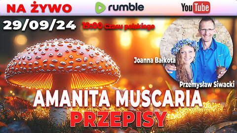 🔴 LIVE 29/09/24 | Joanna Bałkota, Przemysław Siwacki | AMANITA MUSCARIA - PRZEPISY