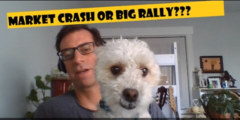 Stock Market Crash? or BIG Rally? - Passive income either way.