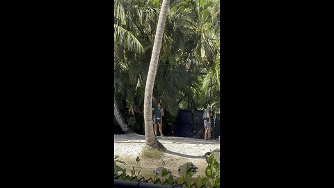 Watch Alligators during a Training Session with Zookeepers PT 1 #Alligator #Gator #NaplesZoo #4K