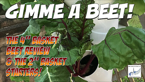 Gimme a Beet!