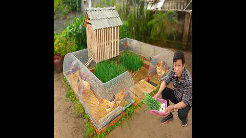 My wife likes chicken coop combined with growing organic vegetables | Mini budget ideas