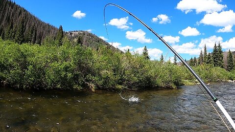 This stream wasn't easy to fish but it was definitely worth the effort!