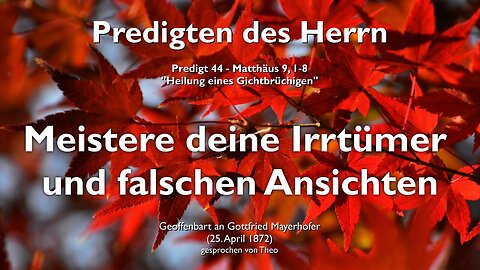 Meistere deine Irrtümer und falschen Ansichten ❤️ Jesus erläutert Matthäus 9:1-8