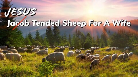 Jacob Tended Sheep For A Wife? - Hosea 12 - Prophecy Of The Day - Old Testament Prophecy Of Jesus