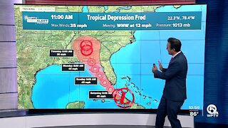 Tropical Depression Fred expected to become tropical storm again