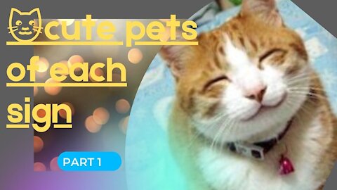 🐱cute pets of each sign