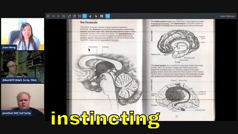 Brain Witship (Neuroscience) of van der Hoop's instincting (sensing, emotional reaction, & action)