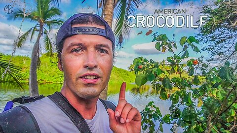 My First Encounter with an🐊American CROCODILE | Alex Beldi