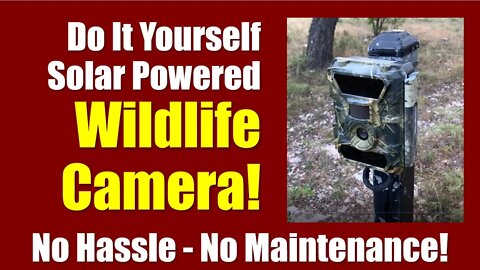 📸No Hassle WILDLIFE CAMERA that Runs on Solar & External Battery for Lifetime Without Maintenance!