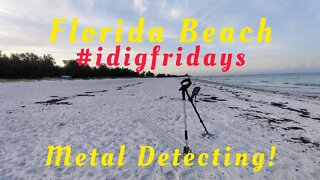 Metal Detecting Florida Beach For Silver & Gold Jewelry & Treasure Hunt • Equinox Detector