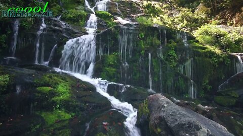 Sounds of a waterfall and birds for relaxing, and restful night's sleep