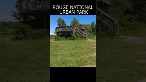 Rouge National Urban Park #short #shortvideo #shortsvideo #shorts