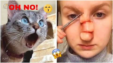 AWW SO FUNNY 😂🤣 Super Dogs And Cats Reaction Videos #2